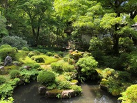 kyoto (7).jpg